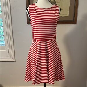 Red and White Striped Skater Dress